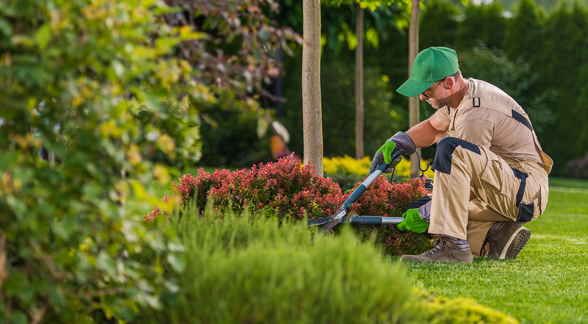 insurance-for-lanscaping-companies