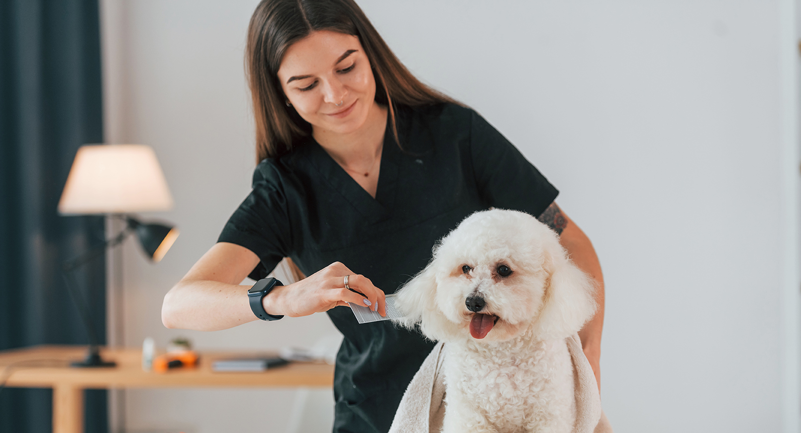 peluquero de mascotas cortando el pelo de un perro